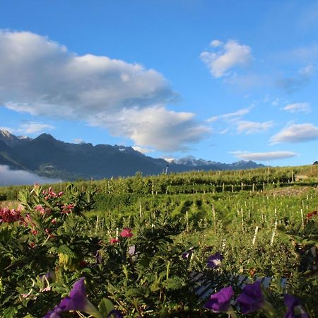 La Vita In Campagna Villa di Tirano Экстерьер фото