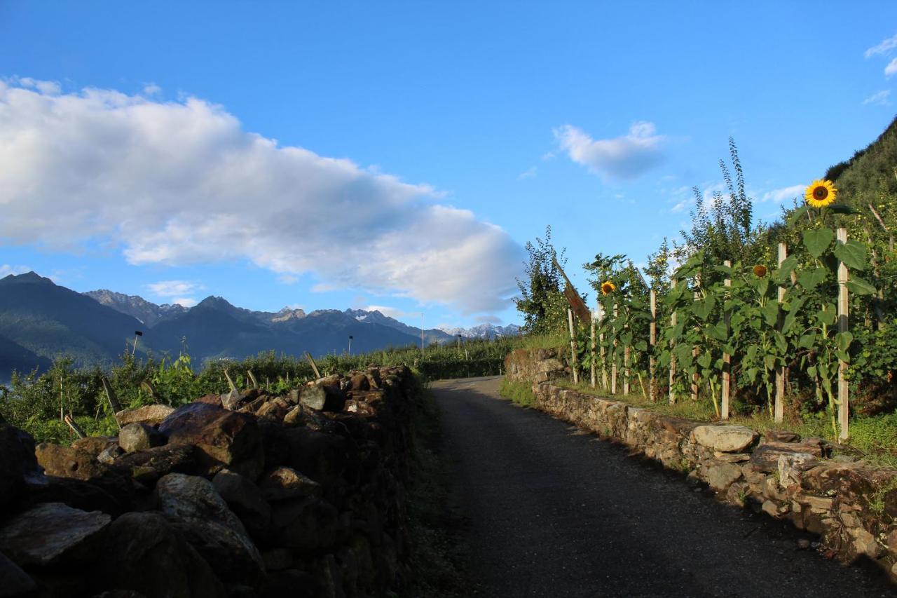 La Vita In Campagna Villa di Tirano Экстерьер фото