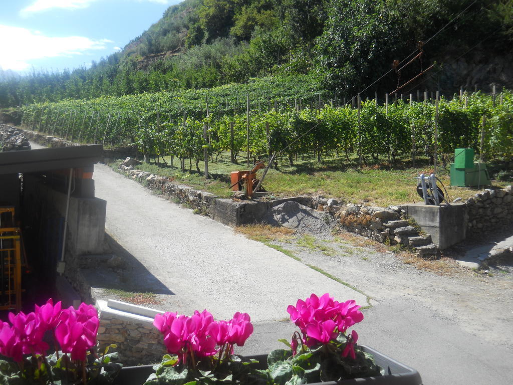 La Vita In Campagna Villa di Tirano Экстерьер фото