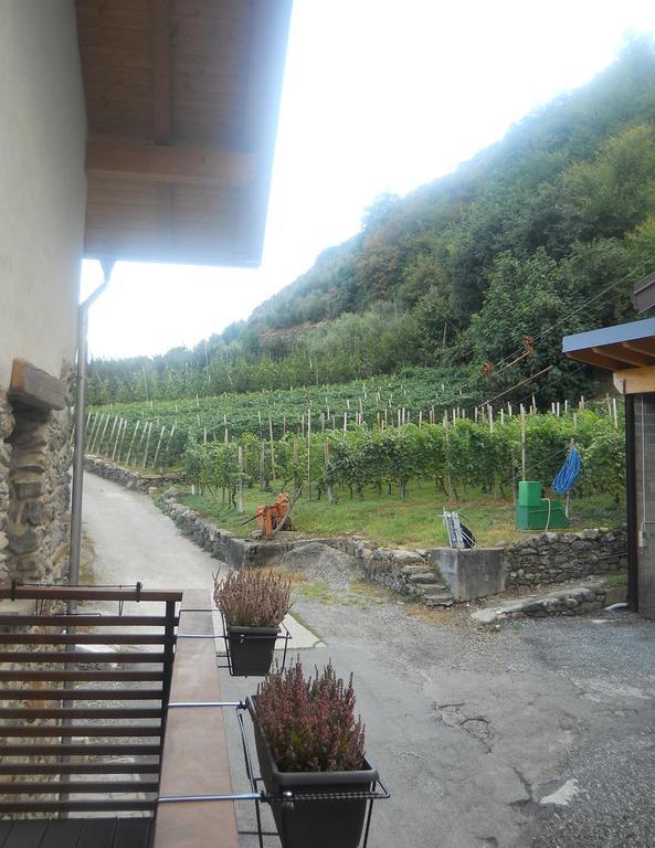 La Vita In Campagna Villa di Tirano Номер фото